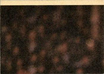 1980 Scanlens VFL #36 Bill Picken Back